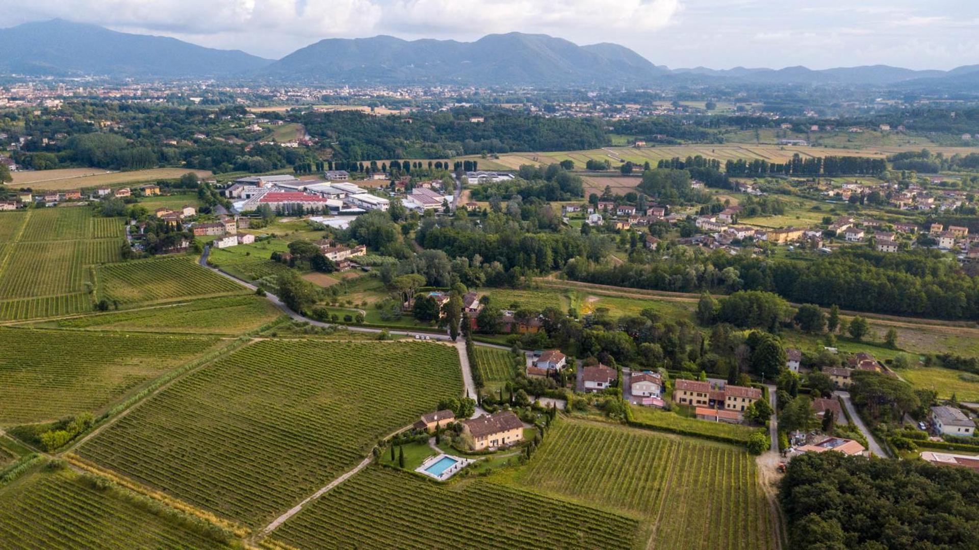 Cicale 3 Bedrooms Farmhouse With Shared Pool Lucca Ngoại thất bức ảnh